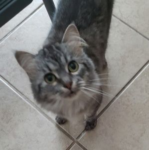 Meet your Posher, Sammy